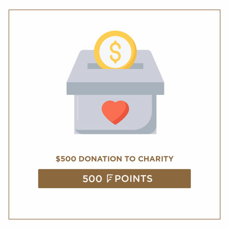 $500 Registered Charity of your choice